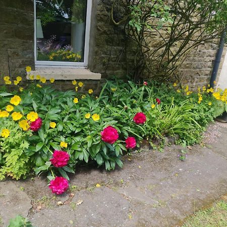 Mayfield Cottage Burtree Ford Bagian luar foto