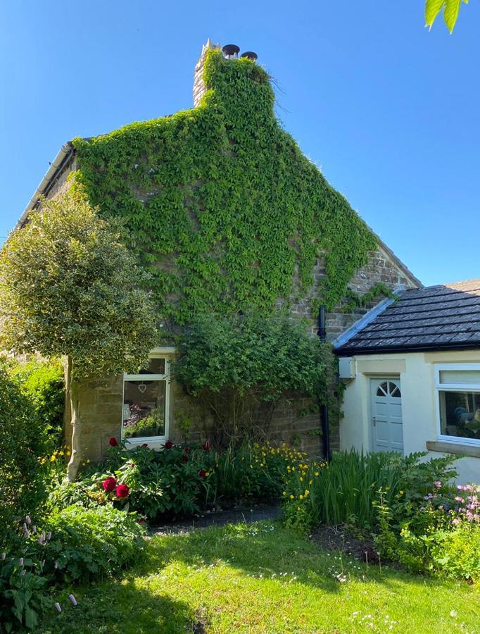 Mayfield Cottage Burtree Ford Bagian luar foto
