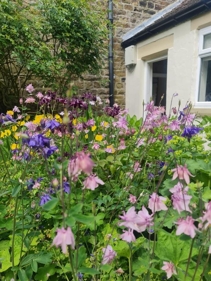 Mayfield Cottage Burtree Ford Bagian luar foto