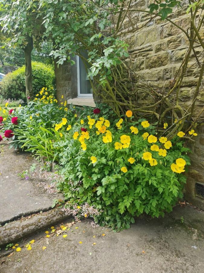 Mayfield Cottage Burtree Ford Bagian luar foto