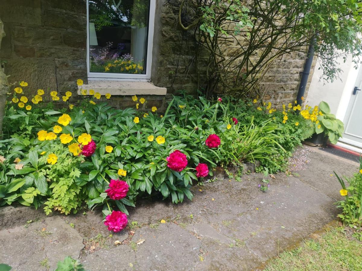 Mayfield Cottage Burtree Ford Bagian luar foto